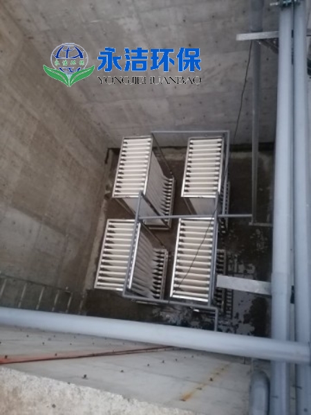 &#108;&#101;&#121;&#117;&#20048;&#40060;